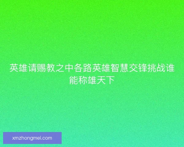 英雄请赐教之中各路英雄智慧交锋挑战谁能称雄天下